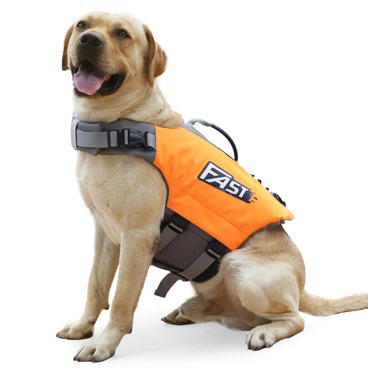 fantastic Dog Life Jacket Dog Swimming