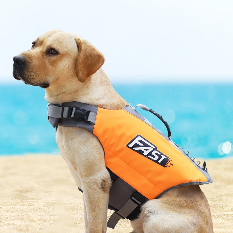 fantastic Dog Life Jacket Dog Swimming